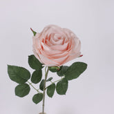 Single Rose Stem 65cmH